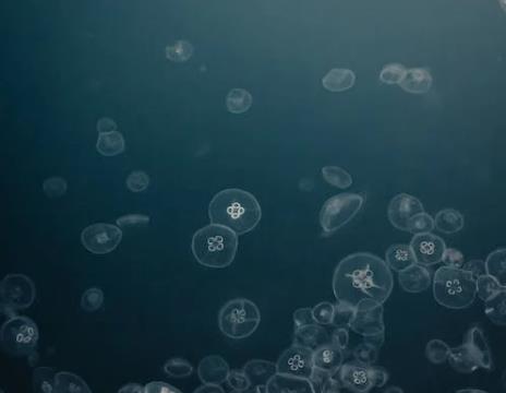1667894045505654.jpg 水質監測.jpg
